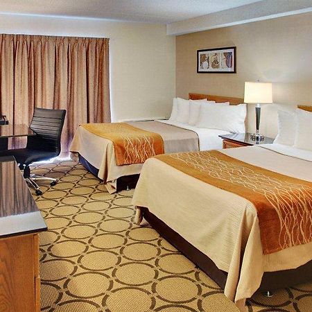 Comfort Inn Edmundston Exteriér fotografie