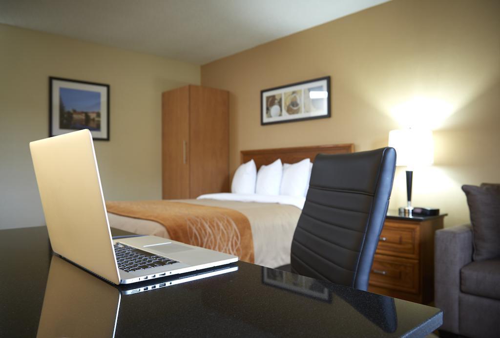 Comfort Inn Edmundston Exteriér fotografie