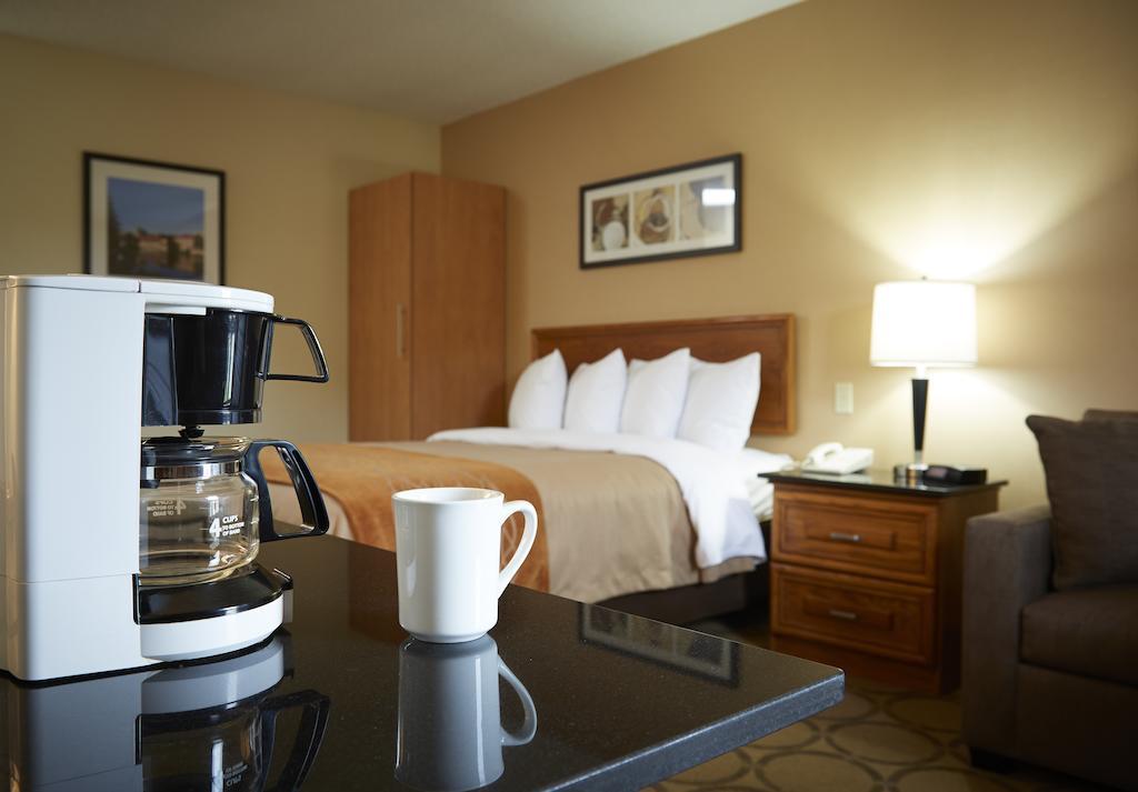 Comfort Inn Edmundston Exteriér fotografie