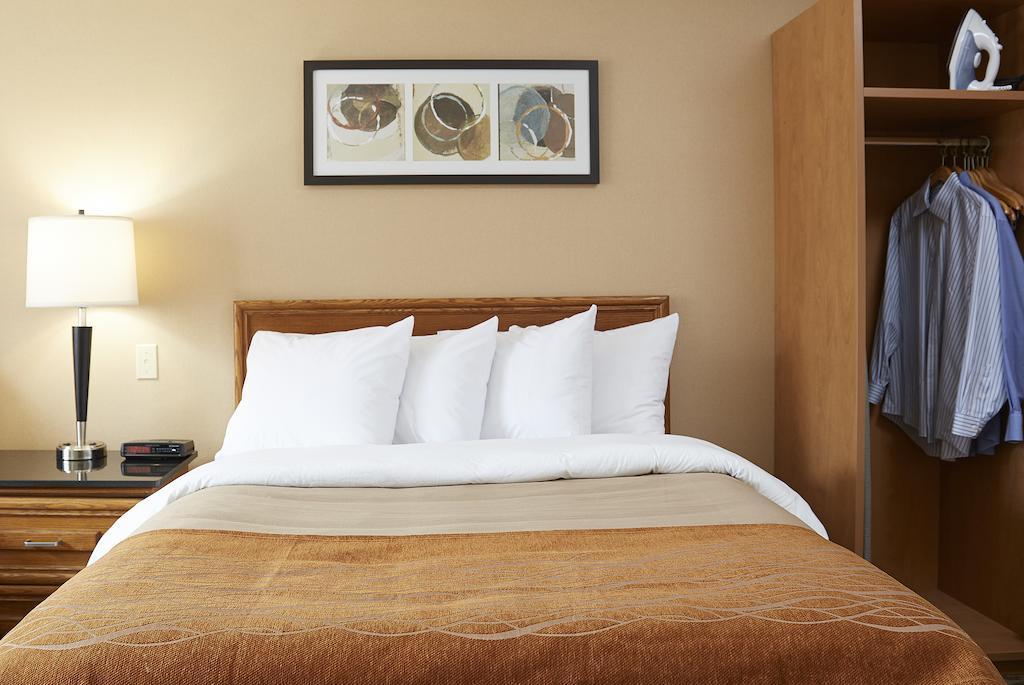 Comfort Inn Edmundston Exteriér fotografie
