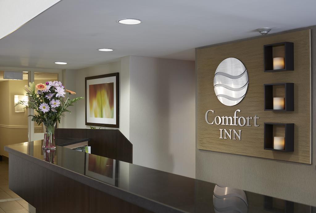 Comfort Inn Edmundston Exteriér fotografie